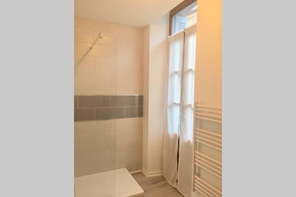 Le Montferrat - 65M2 - 2 Chambres - Rue De La Grotte - Hyper Centre Lourdes Eksteriør billede